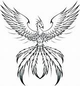 Phoenix Coloring Pages Tattoo Drawing Bird Line Behance Simple Mosaic Silhouette Adults Printable Drawings Tattoos Pheonix Color Men Tribal Draw sketch template