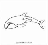 Whale Outline Killer Drawing Coloring Kids Whales Orca Pages Clipartix Paintingvalley Orcas Choose Board sketch template