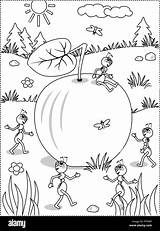 Ants Planning Coloring Busy Ripe Lying Joy Themed Autumn Alamy Ground Apple Five Summer Do sketch template