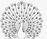 Peacock Coloring Drawing Colouring Pages Outline Colour Feather Fan Eagle Peacocks Wallpaper Drawings Pencil Birds Easy Paisley Color Printable Kids sketch template