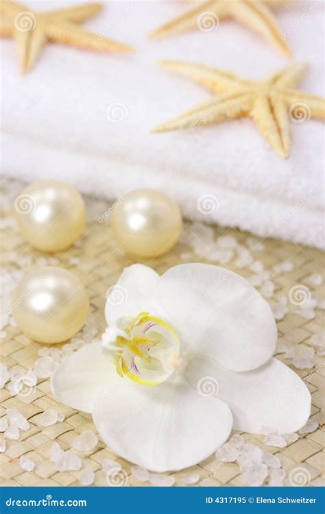 white orchid spa stock image image  decoration beauty