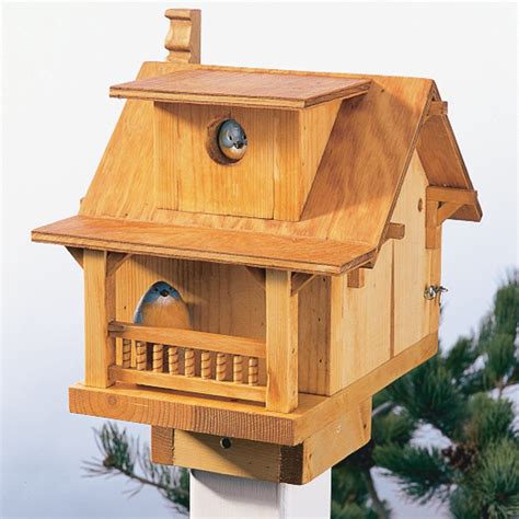 build  backyard birdhouse family handyman