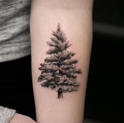 30 Refreshing Evergreen Tree Tattoo Designs Amazing Tattoo Ideas