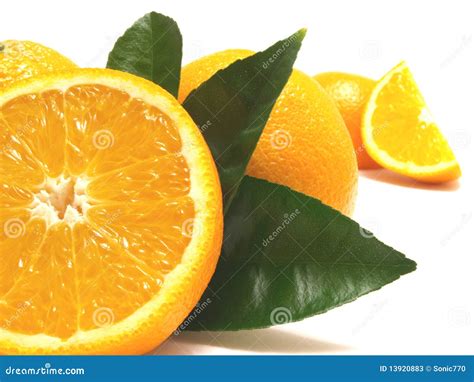 orange picture image