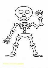 Skeleton Squelette Preschoolers Skeletons Personnages Coloriages Coloringhome sketch template