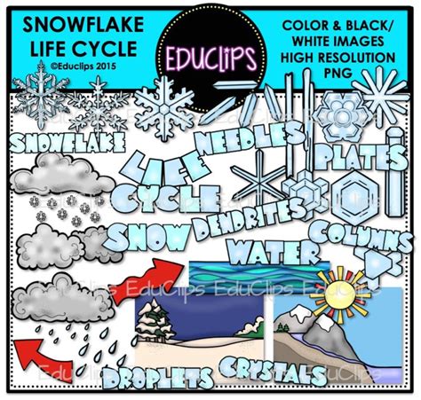 snowflake life cycle clip art bundle color  bw  clips