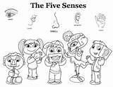 Sentidos Cinco Senses Sinne Humano Ausmalbild Teaching Pintarcolorir Sentido Organos ähnliche Dibujosparapintar sketch template