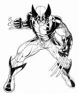 Wolverine Lobezno Dibujos Xmen Hulk Coloringhome Doghousemusic sketch template