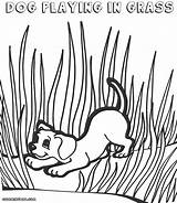 Grass Coloring Pages Colorings Coloringway sketch template