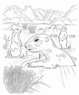 Coloring Animals Pages Plains Native American sketch template