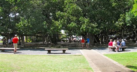 banyan tree park