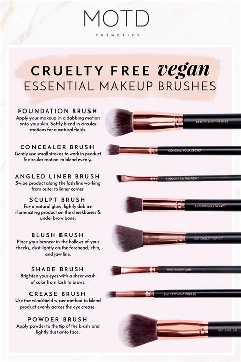 cruelty free vegan essential makeup brushes blog makeup brush guide