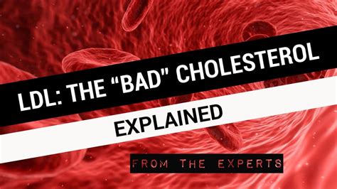 ldl  bad cholesterol explained quick guide