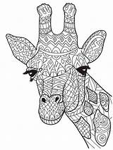 Giraffe Zentangle Coloring4free Mycoloring sketch template