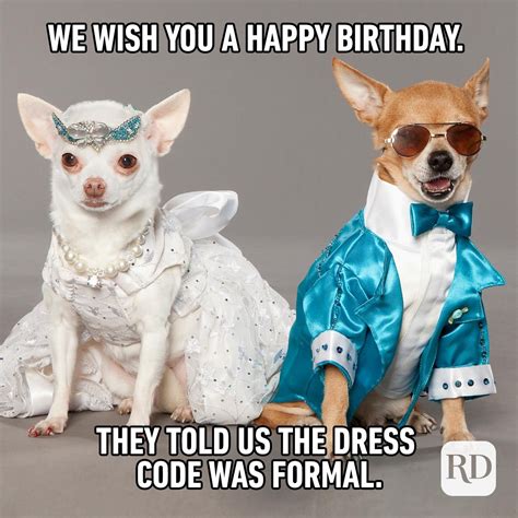 funniest happy birthday memes readers digest