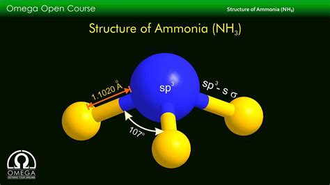 structure of ammonia