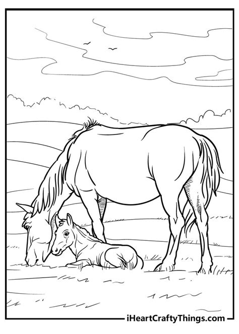 coloring pages   horse