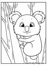 Koalas Koala Iheartcraftythings sketch template