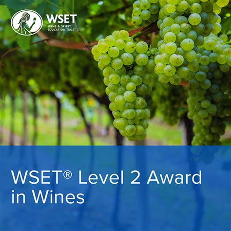 wset level  award  wines popular corvino wine school