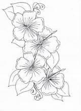 Flower Hibiscus Coloring Drawing Pages Flowers Drawings Tattoo Hawaiian Sampaguita Color Tattoos Cliparts Colorluna Draw Getdrawings Moon Visit Designs Colouring sketch template