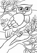 Coloring Kleurplaat Branch Lente Uil Owls Sits Beleef Perched Lood Jufmaike Materiaal Depositphotos Kerstmis Lesidee Verschillende Productgroep Kerst sketch template