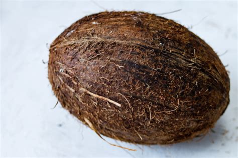 coconut kokosnuss professional photographer twitch flickr