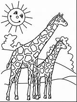 Giraffe Coloring Pages Cute Getdrawings sketch template