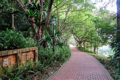 fort canning park  walk   time  trail guide