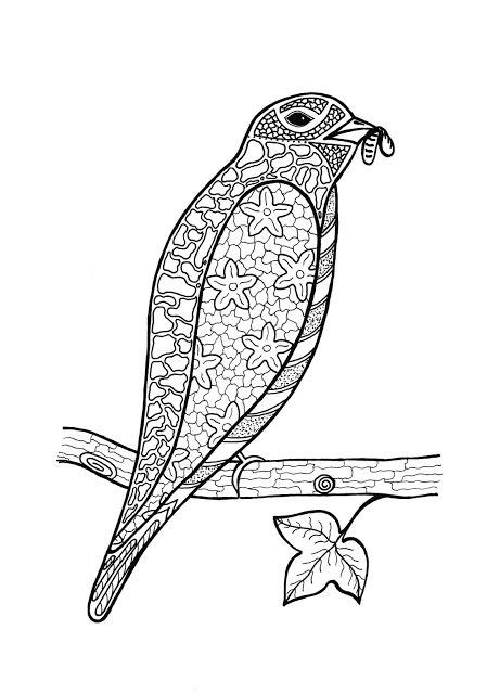 budgeting  coloring pages bird  tree branch coloring
