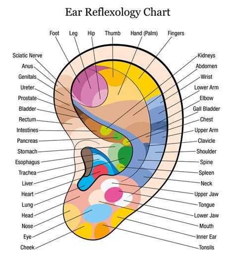 Discover The Health Benefits Of An Ear Massage