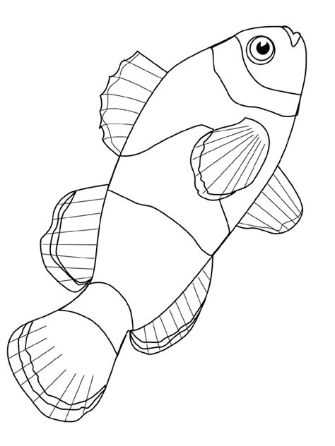 printable fish coloring pages  kids