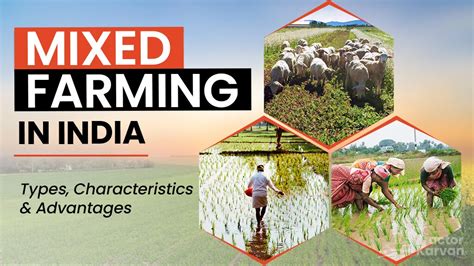 mixed farming type benefits