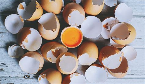 ¿cáscara De Huevo Para Eliminar Dolor De Huesos Y Articulaciones