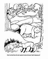 Coloring Pages Earth Habitats Natural Ecology Habitat Protect Forest Drawing Sheets Animal Colouring Plains Great Animals Print Kids Honkingdonkey Activity sketch template