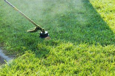 common string trimmer problems    fix  hunker