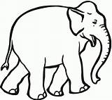 Elefante Elefantes Mewarnai Gajah Kartun Pemandangan Bonikids Nose Pintura Iwcm Ingles Escarabajos Divertidos sketch template