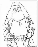 Hagrid Malfoy Draco Rubeus Ausmalbilder Ausmalen Library sketch template