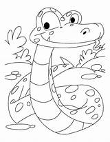 Coloring Boa Snake Constrictor Pages Anaconda Snakes Color Prey Looking Its Kids Reticulated Ausmalen Ausmalbild Designlooter Ausmalbilder Popular Coloringhome Pdf sketch template