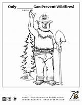 75th Smokey Coloring Bear Event Color Materials Sheets Birthday sketch template