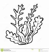 Seaweed Coloring Sea Pages Plants Ocean Cartoon Clip Algae Coral Clipart Drawing Grass Print Outline Printable Kids Color Drawings Vector sketch template