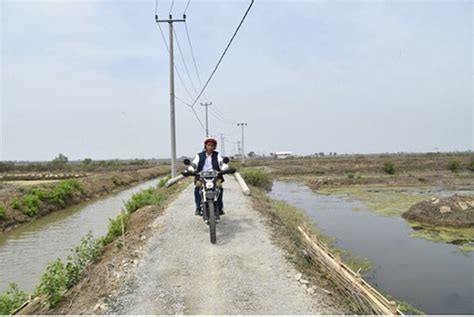 jokowi blusukan naik motor trail ke tambak udang dan hutan mangrove