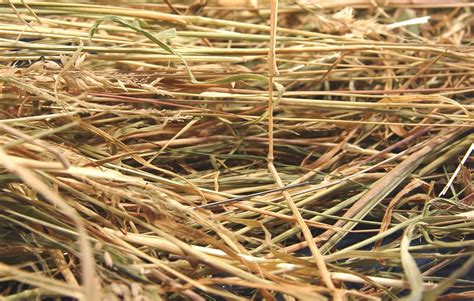Less Hay In The Haystack For Drug Cartels News About Energy Storage