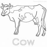 Cow Coloring Pages Dairy Printable Print Color Getdrawings Getcolorings sketch template