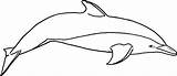 Dolphin Coloring Pages Printable Whale Killer Outline Kids Dolphins River Clipart Drawing Print Bottlenose Amazon Cliparts Realistic Color Templates Template sketch template