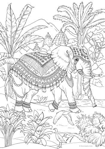 indian elephant favoreads coloring club