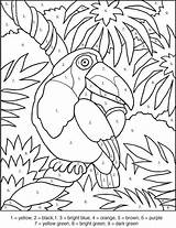Color Coloring Number Pages Toucan Numbers Azcoloring Bird Printable sketch template