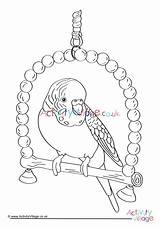 Colouring Budgie Coloring Pages Popular sketch template
