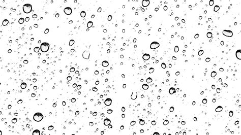 rain drops png   cliparts  images  clipground