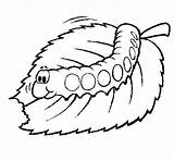 Caterpillar Eating Coloring Coloringcrew Colored Pages Leaf Worm Lupita Para Kids sketch template