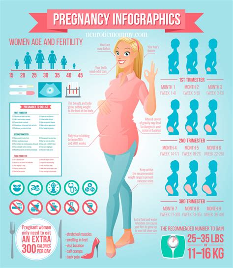 pregnancy weeks 16 19 neuroticmommy